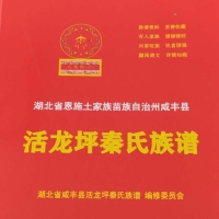 湖北省咸丰县活龙坪秦氏各支系字派世(代)对照