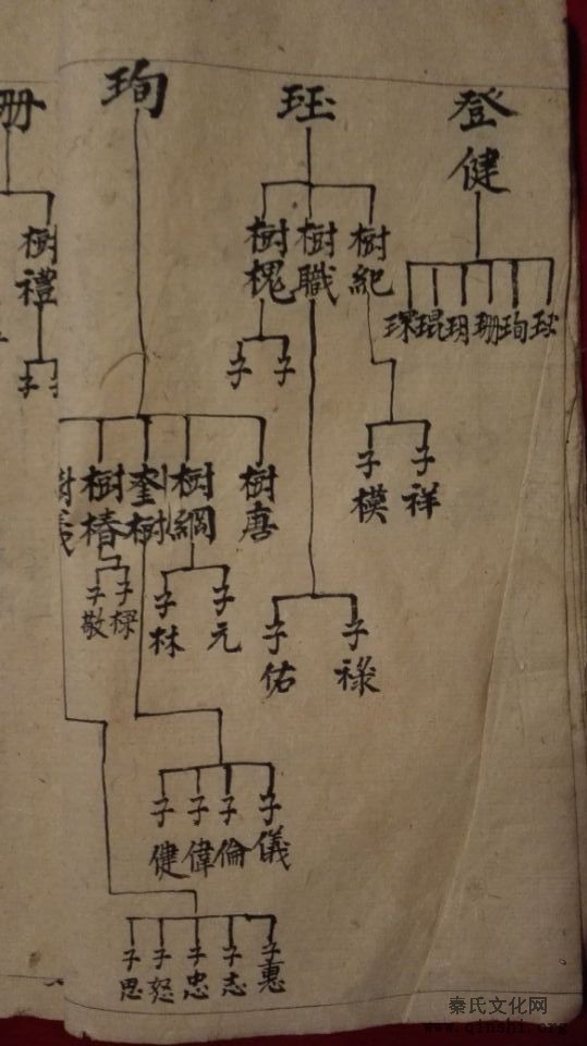 四川省达州市大竹县秦氏家谱