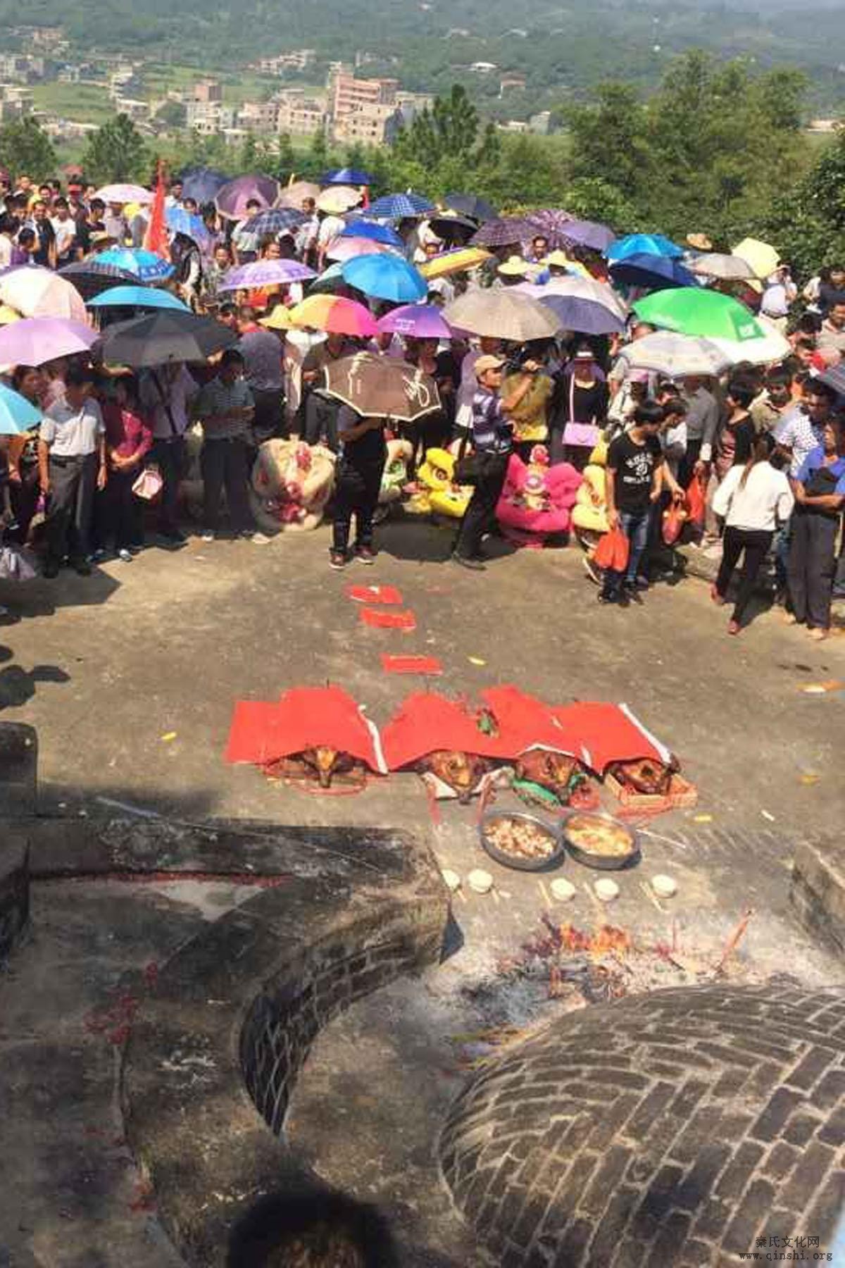 广西桂平市罗秀镇举行2015年重阳节秦氏宗亲祭祖活动